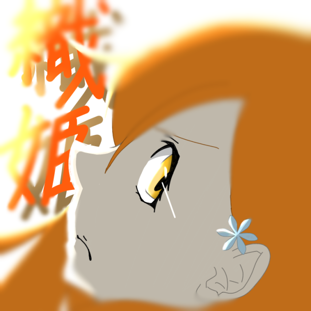 BLEACH 井上織姫