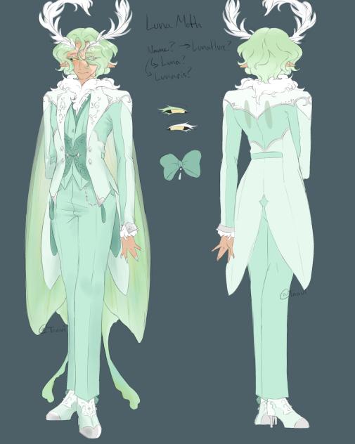 Unnamed.Moth