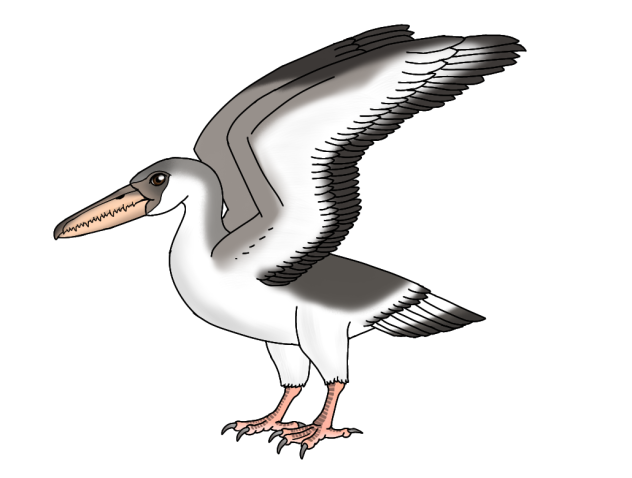 Pelagornis sandersi