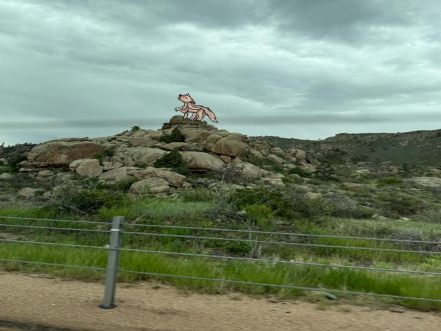 A wolf on rocks (Jun 9, 2025)