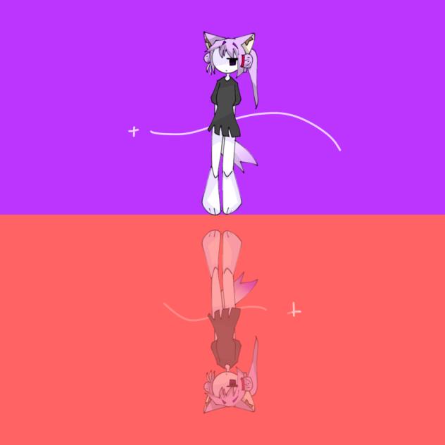 水面鏡の世界