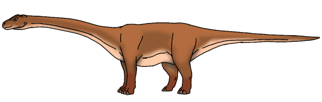Taiga Diploterro (2023) female
