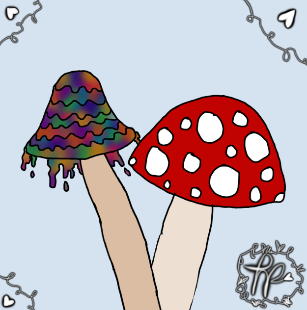 Shrooms🍄🌈