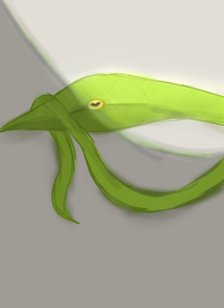 蛇🐍