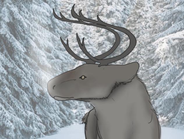 Perspective practice (Caribou)