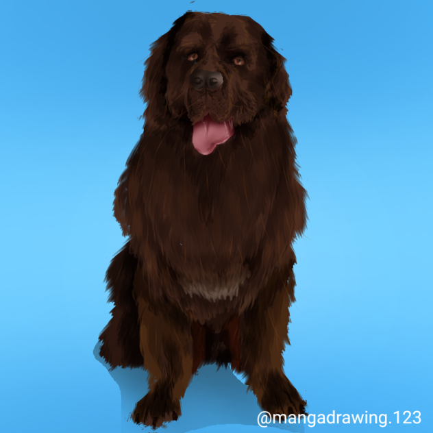 How to draw dog ibispaint x Dr Mike ibisPaint