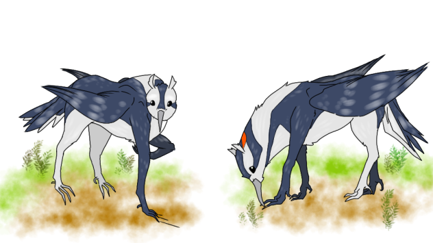 (Arab Horse x Hairy Woodpecker)