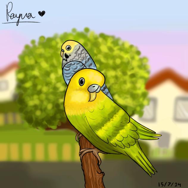 Birds on a Branch