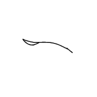 teste de animação - ibisPaint