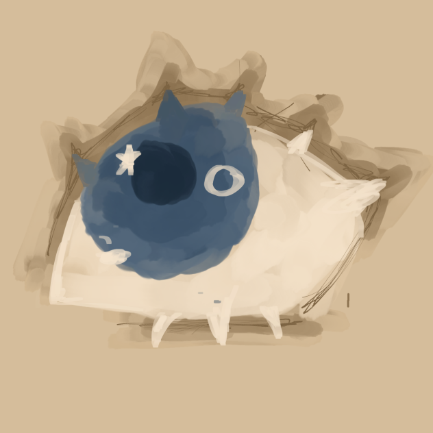Eye
