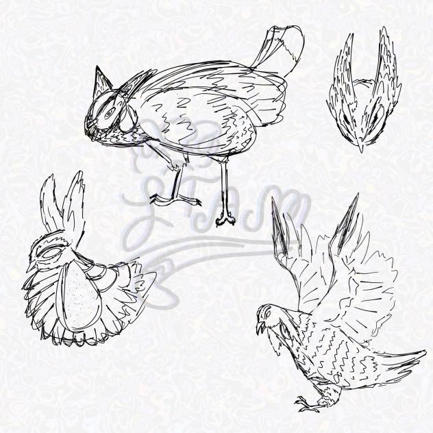 Greater Prairie Chicken