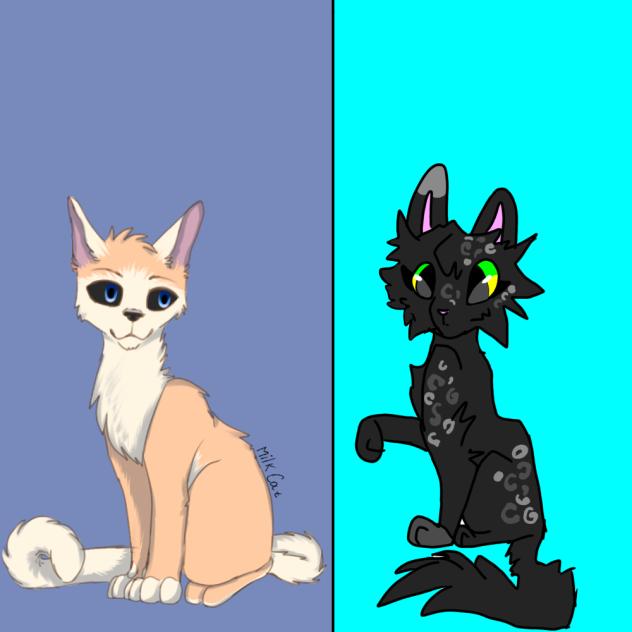 Collab Hollyleaf388  ♡