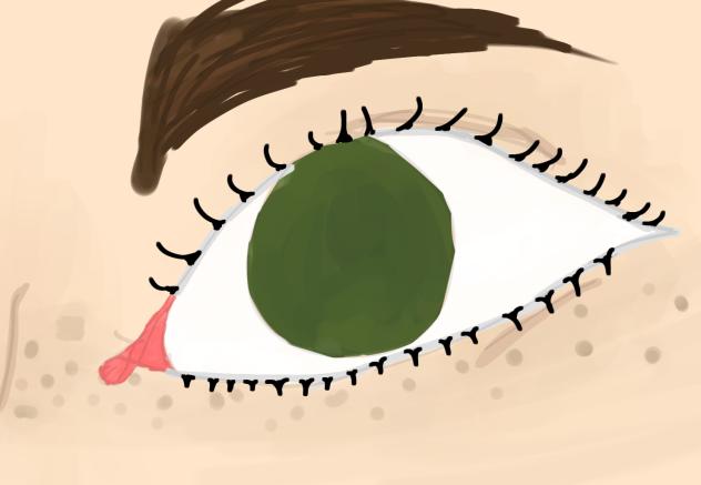 eye