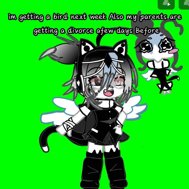 talk with me in the coments NOW pls 😌