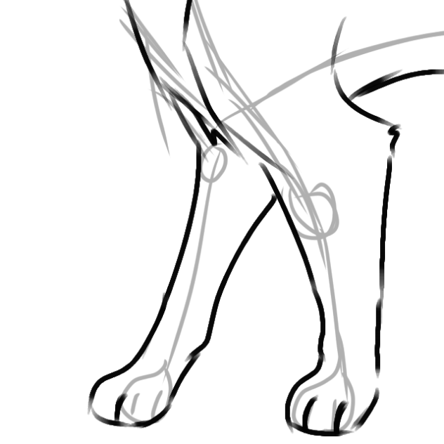 Cat walk I guess Not full cycle - ibisPaint