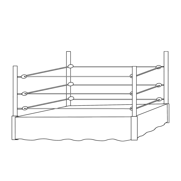Wrestling ring (outline)