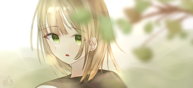 木漏れ日