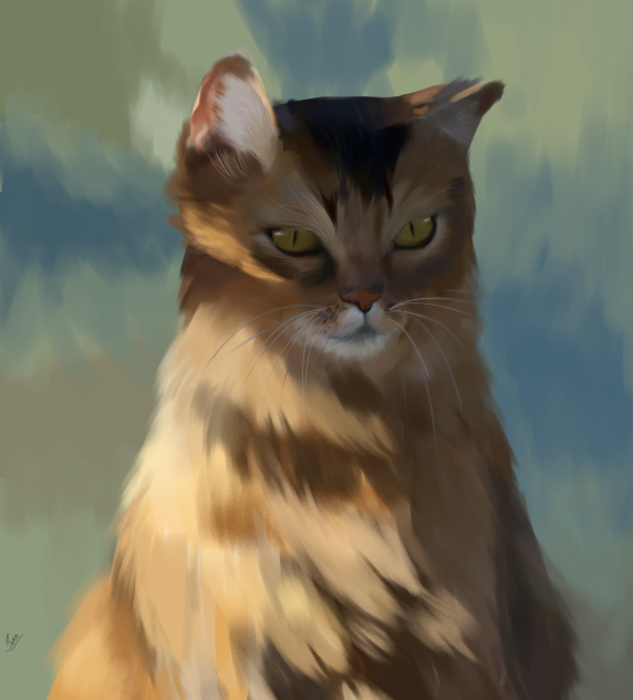Untitled607 - ibisPaint