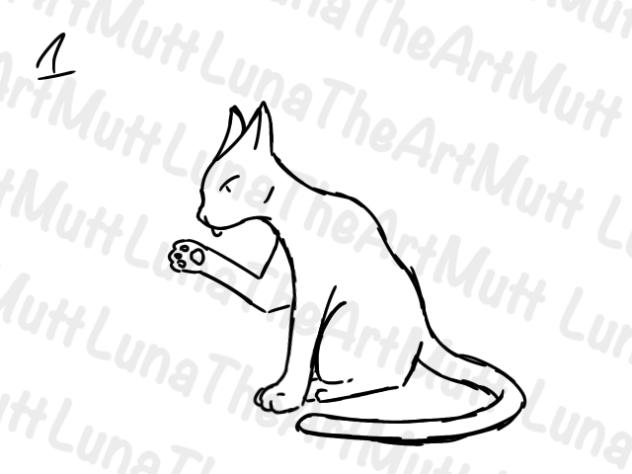 Kitty Laps Paw