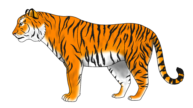 South China Tiger