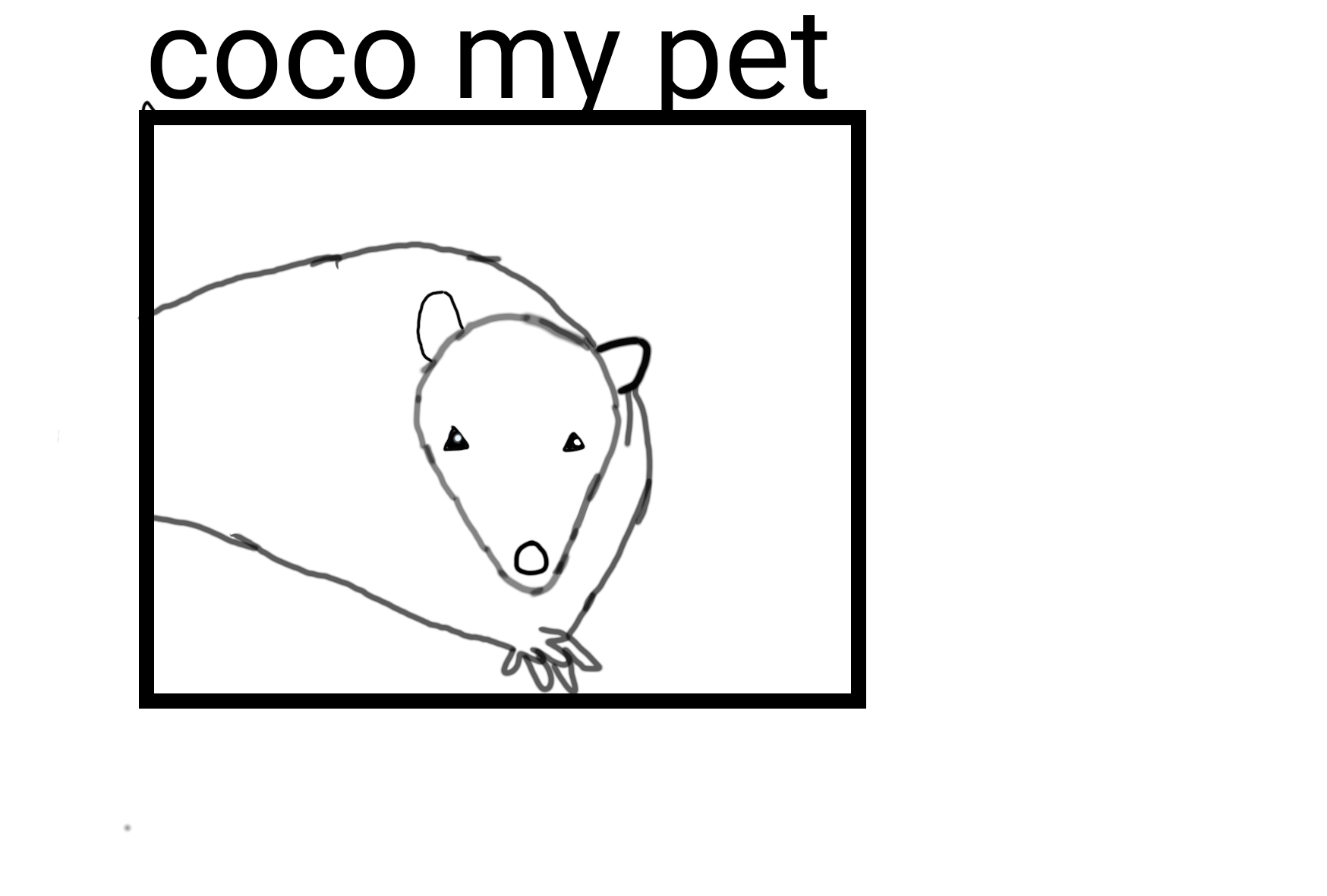 my pet coco - ibisPaint