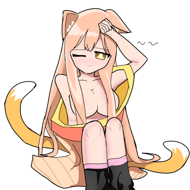 🦊 Foxy 🦊