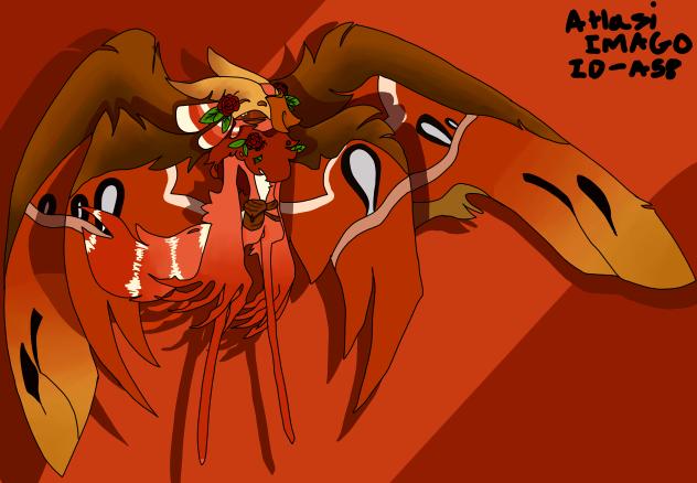 ⋆⁺₊⋆ ☾« 𝕋𝕙𝕖 𝕎𝕠𝕠𝕕𝕝𝕒𝕟𝕕 ℍ𝕖𝕒𝕝𝕖𝕣»★彡