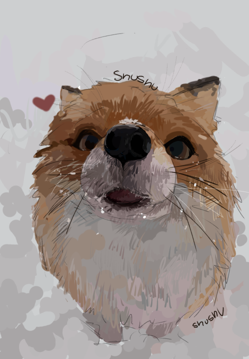 Wittle fox in snow - ibisPaint