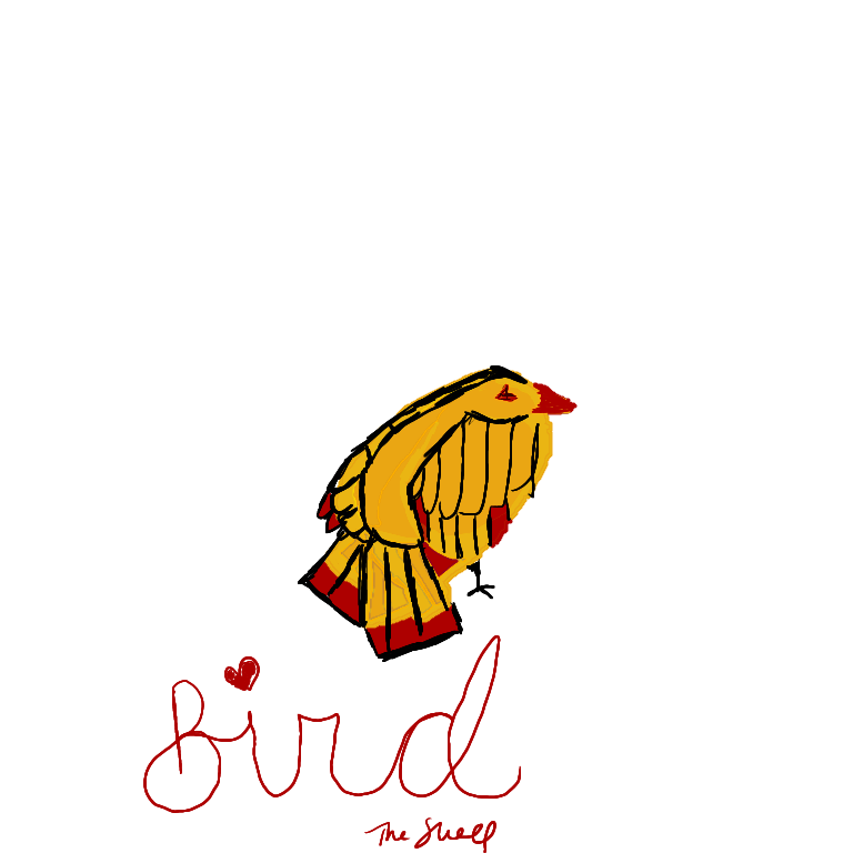 bird - ibisPaint