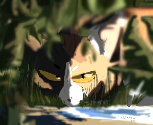Cat v2