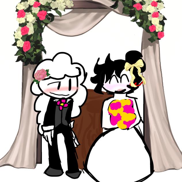 STEPH AND LIAMS WEDDING AAAAH