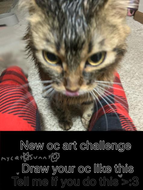 Oc art challenge!!!
