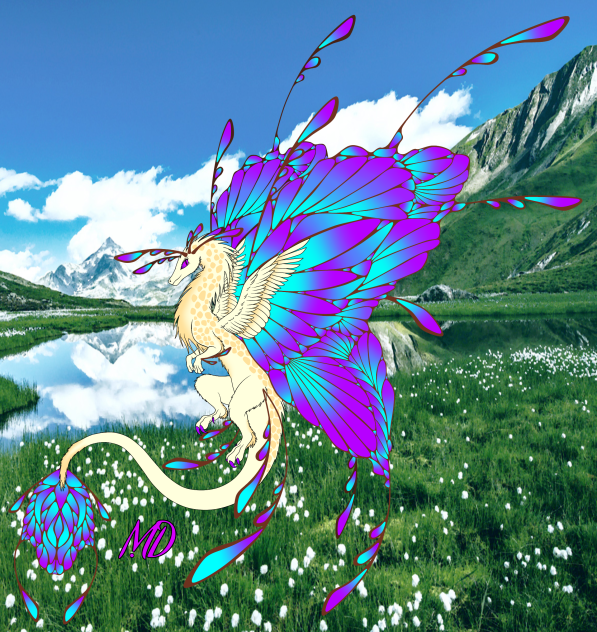 Butterfly