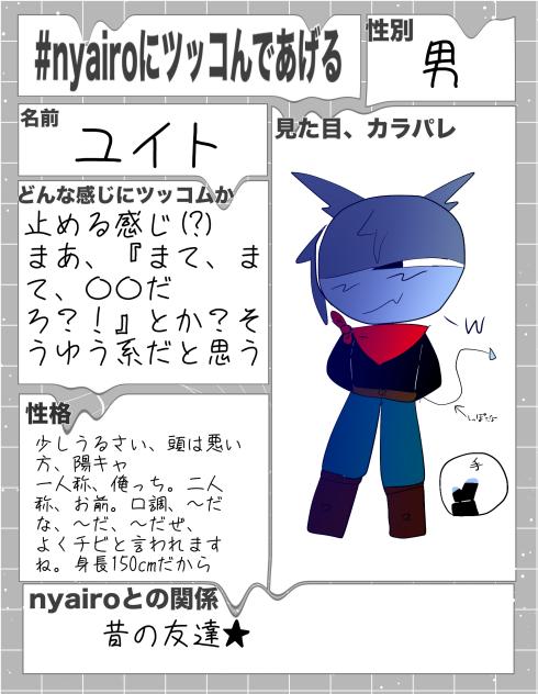 ニャイロさんこれで良いすか？