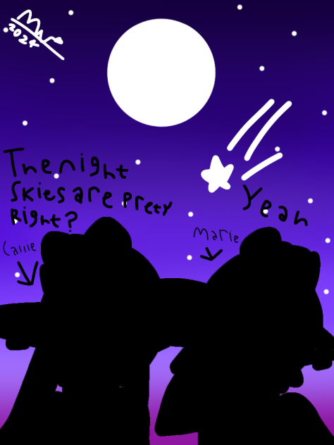 Night Skies