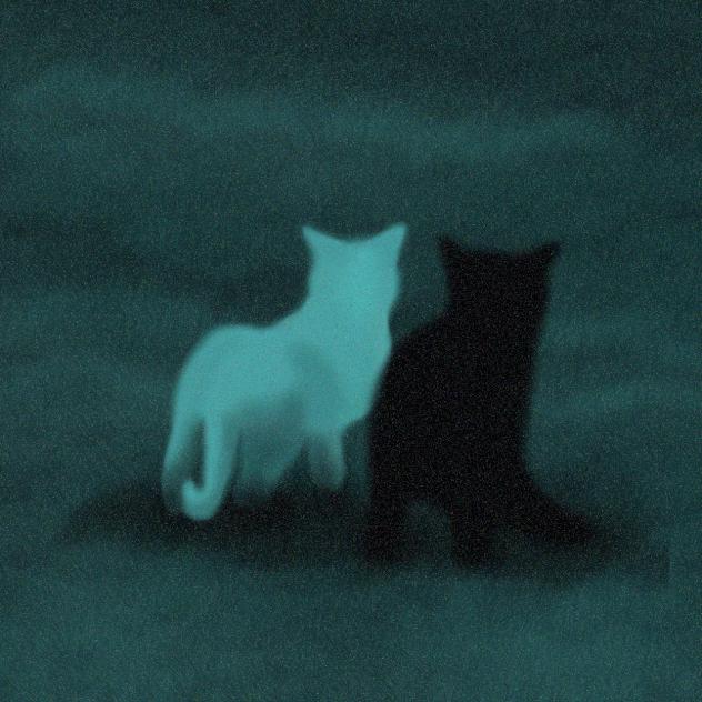 Cat Realism Attempt
