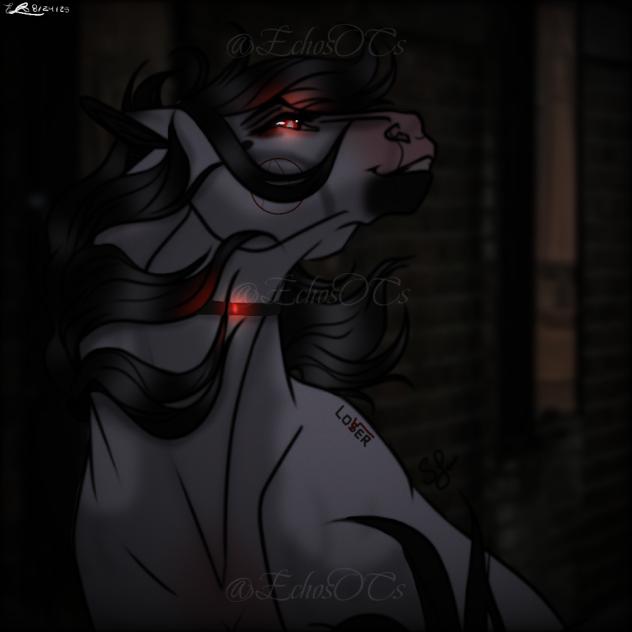 ~ Anarchy `` Ann `` ~