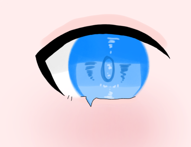 5日目