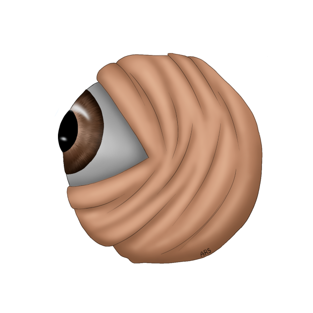 Eyeball sticker