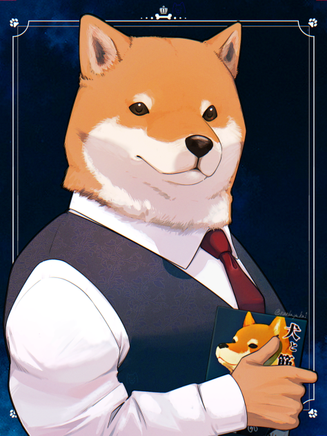ｻﾝｷｭｰﾍﾞﾘｰﾏｯﾁｮ