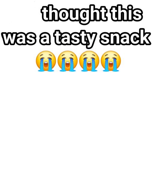 a meme template i made