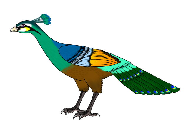 Great Peacock-Dove