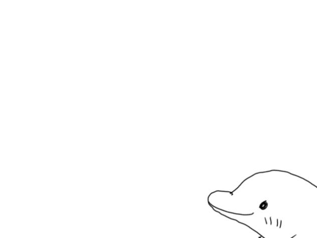 イルカ🐬