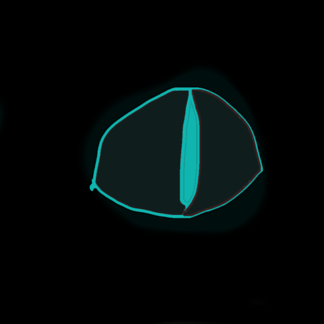 The eye - ibisPaint