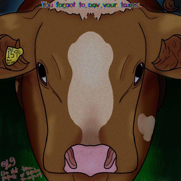 Cow Staring At You