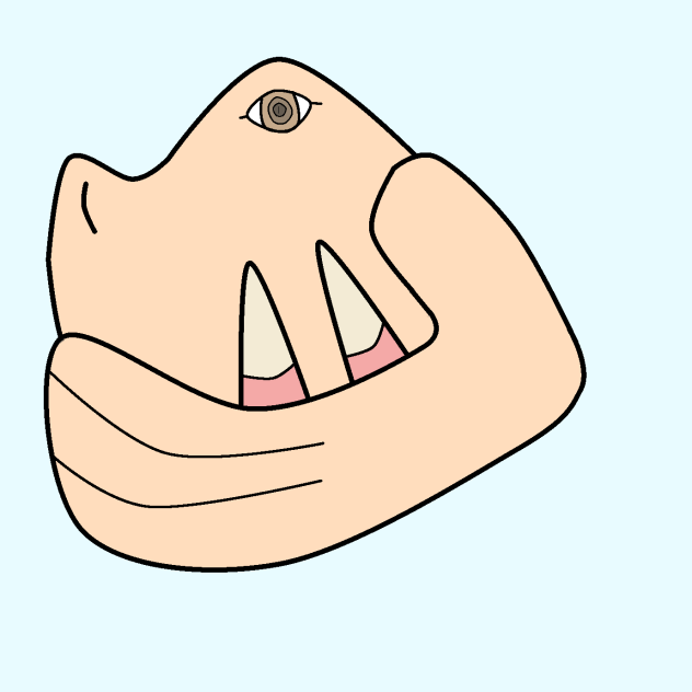 Strange Creatures Question 1  奇特生物：疑問1