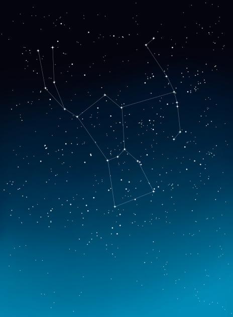 Orion