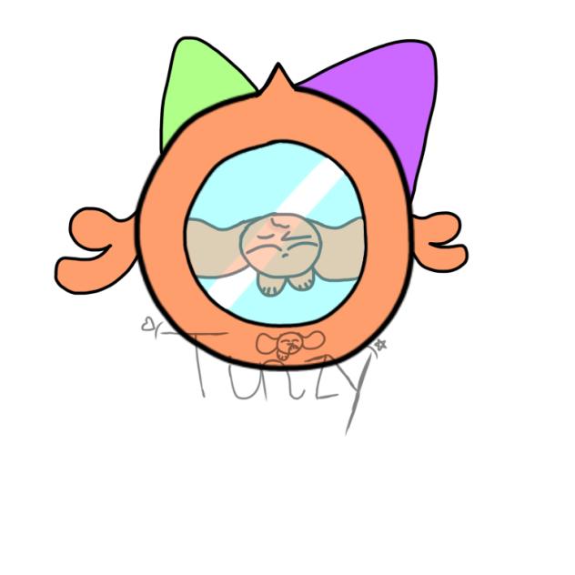 Universe without Shelly