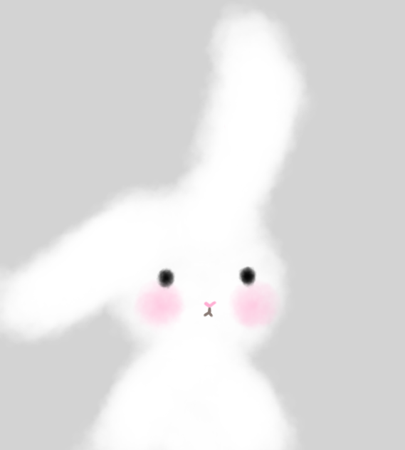 🤍rabbit 🤍