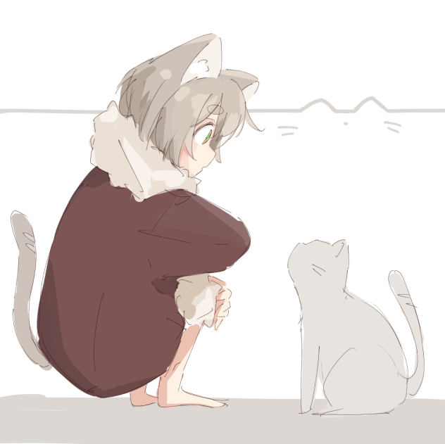 猫